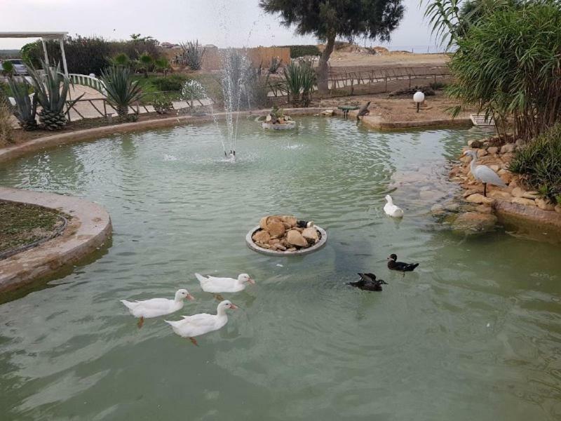 Kamarina Resort Scoglitti Luaran gambar